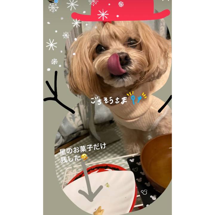 16efa83d eb77 4afc a4a0 61571d950eaf 1671874703869