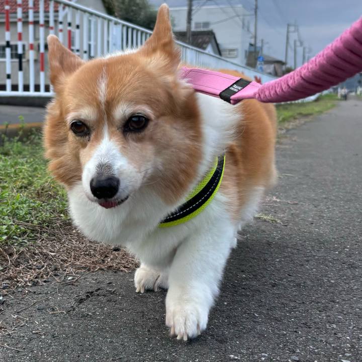 16efdba9 17aa 44ce 81b6 f432c7b11a13 1757388706705