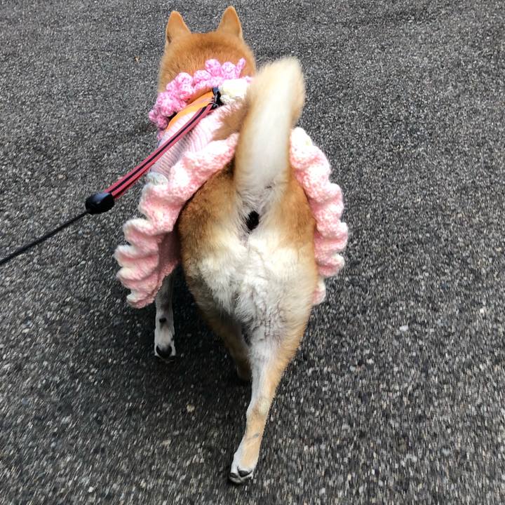 16f0238f 8a12 41ac 96cc 571d930e68cd 1608459776378