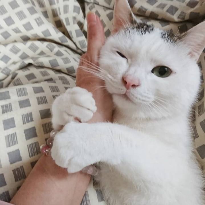 16f04d95 4c92 4dee 982c f3a022d8ac48 1545785684040