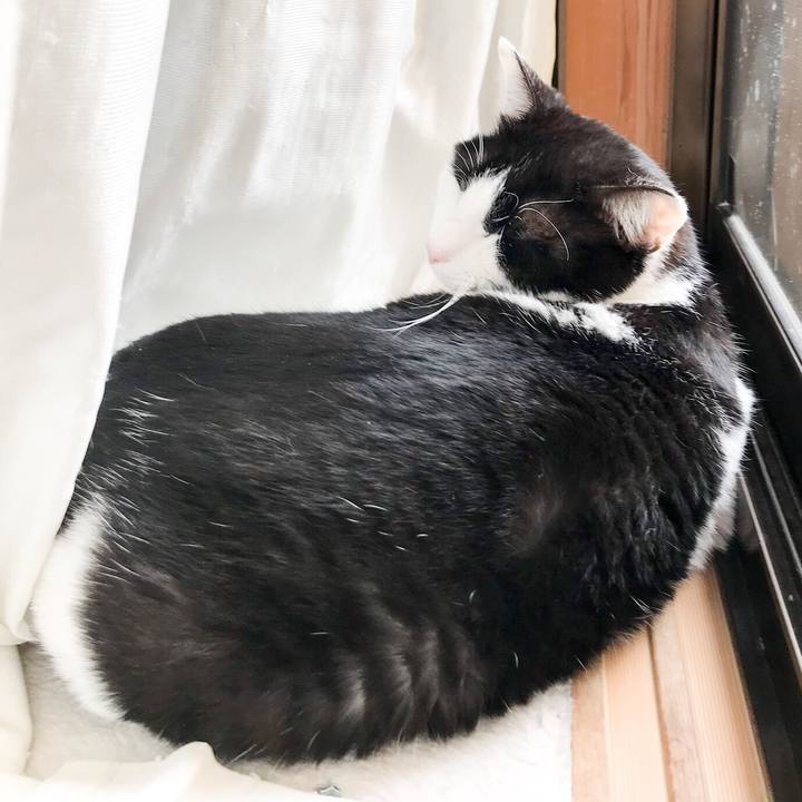 16f054ed 1e78 4eb1 a7ab 9fdde12e42f5 1524457593904