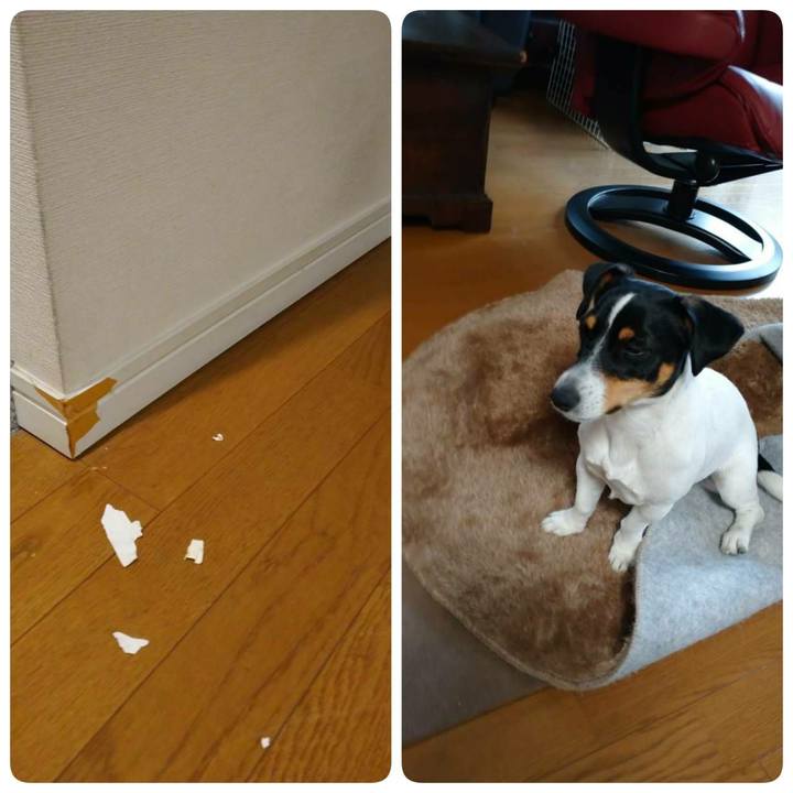 16f0674c 12b5 4cc3 82d6 e213098a29b9 1580807131878