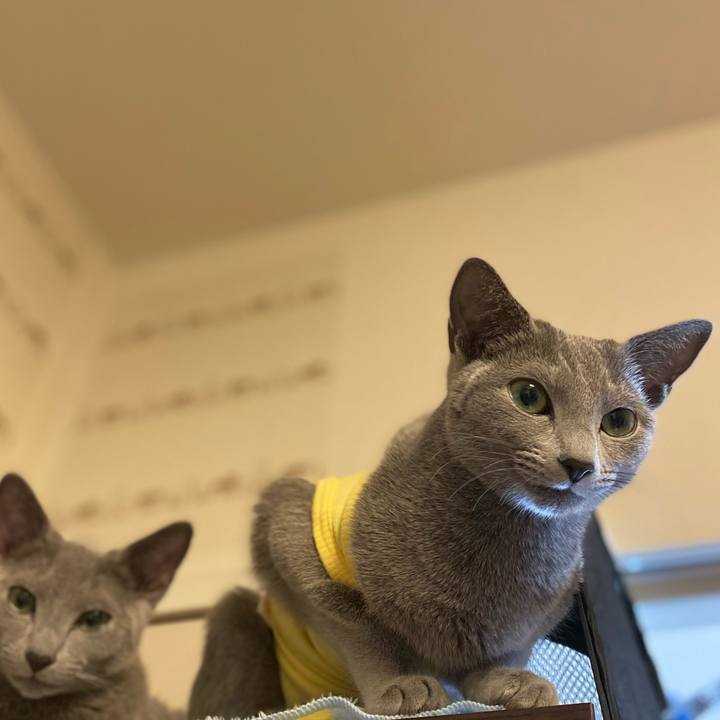 16f069a9 39e7 4f6f 919a e242c385898c 1609067001264