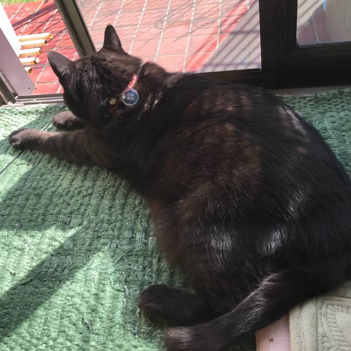 16f0805c 2dde 4cbc a01d f58269e75f0e 1510363682695