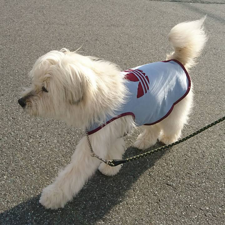 16f0947a 4a98 4589 8a5d 4100e06048cf 1586166596246