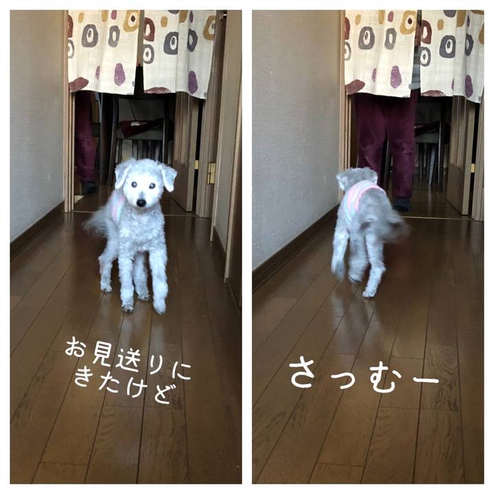 16f09fd7 de4a 4789 9e0b fedf534fa258 1645401812884