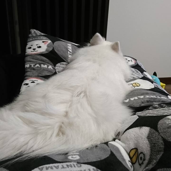 16f0c214 29ad 46e0 9989 855863ff1244 1545129739093