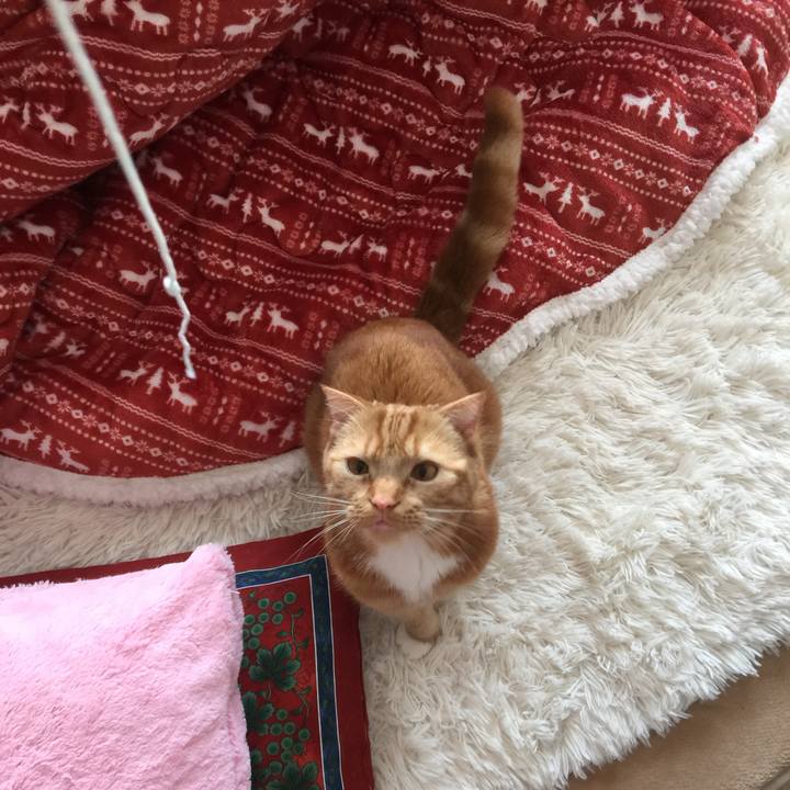 16f0f21a 0ed3 41e7 8b3c 399e93677fb7 1523405511111