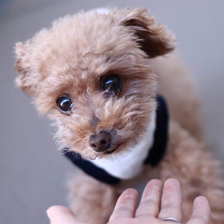 16f1316a 1697 46d3 a10d e8d8c357554f 1601475601553