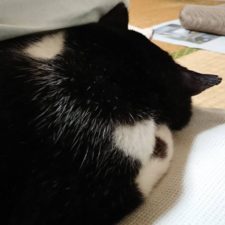 16f14bff 57c3 4185 b7e6 57d321d11172 1603636332508