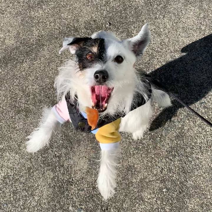 16f14f17 7bcd 40fa 8d5c 6105bfb42a59 1706231780853