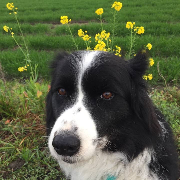 16f1bfab 1fa9 4c3d 8a34 e713fedd8e45 1579996188007