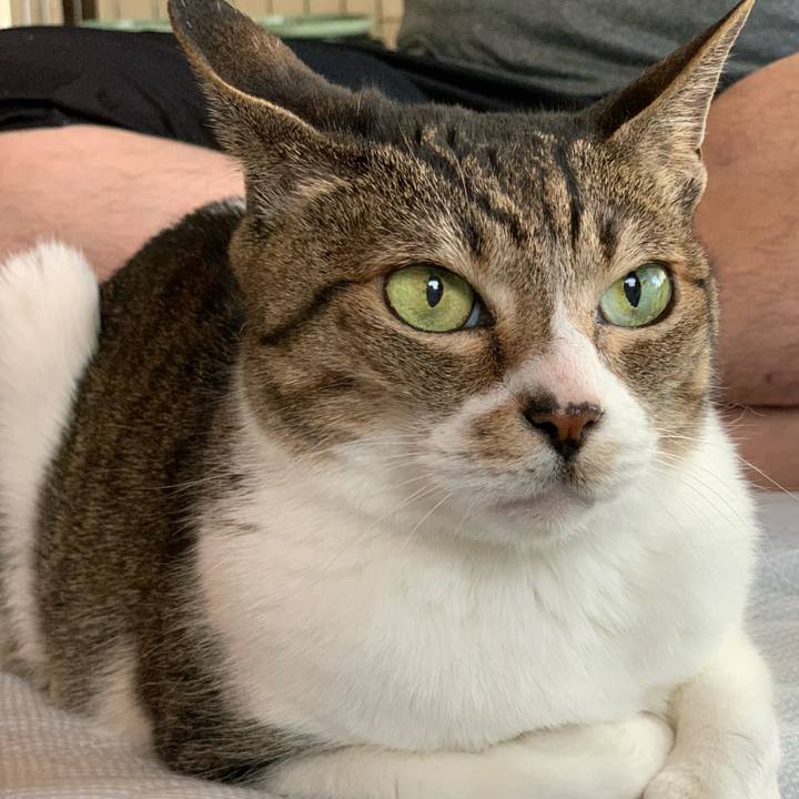 16f1d84e 873b 4ac6 ae22 ef5b8dfede6c 1592614655822