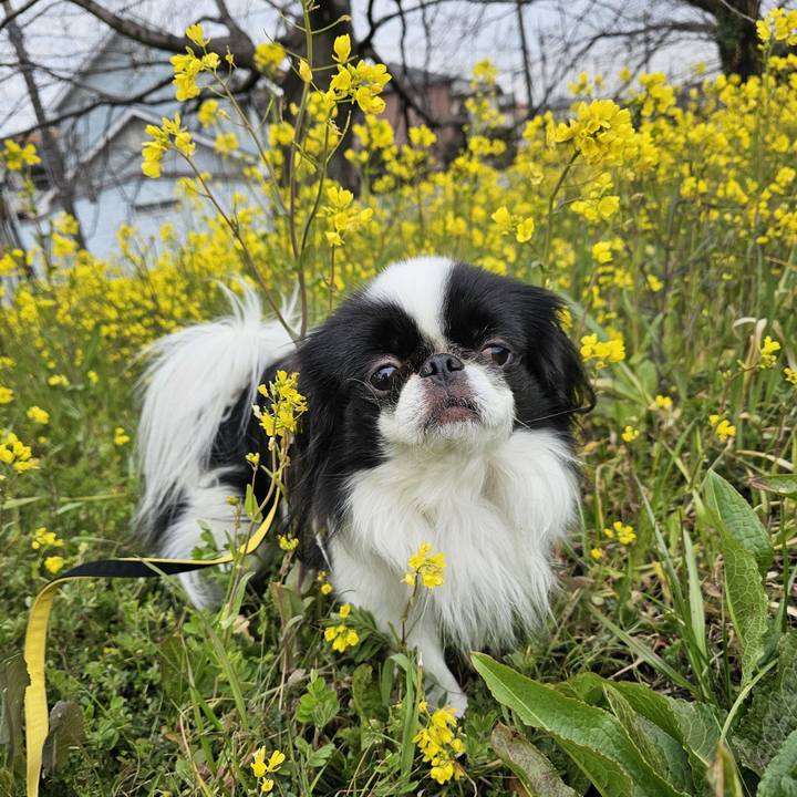 16f1ef76 855c 4fd1 8630 d224c464b149 1710227398860