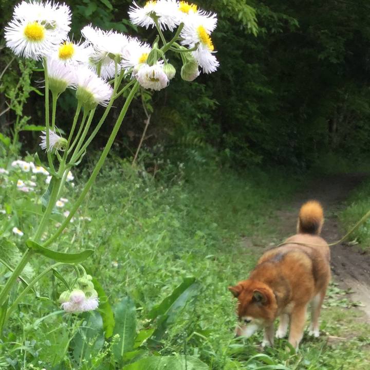 16f1fcfb ca6e 4565 b37a e9f7c63fd8bc 1620013732168