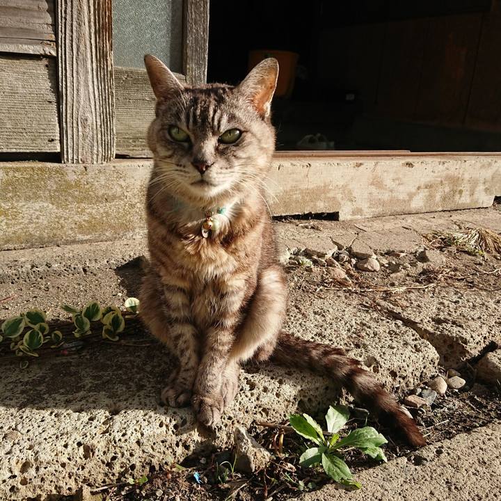 16f1ff99 a46e 42a6 b169 7f87bdeb12fb 1600804821263