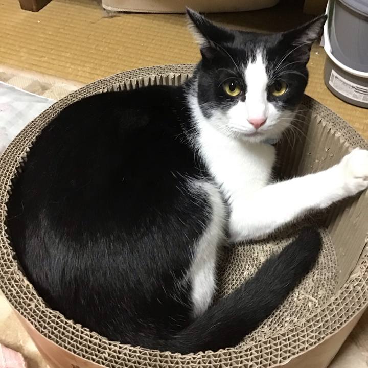 16f22574 8928 40b0 b1f1 17064a40a4f5 1698664869918