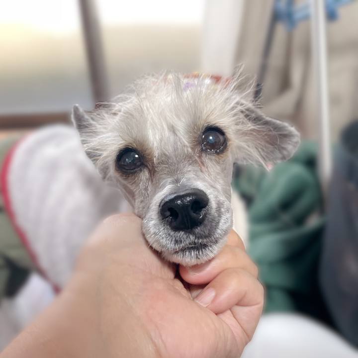 16f26a77 68a5 4f99 ac0a fea3b6fd8149 1763107333291