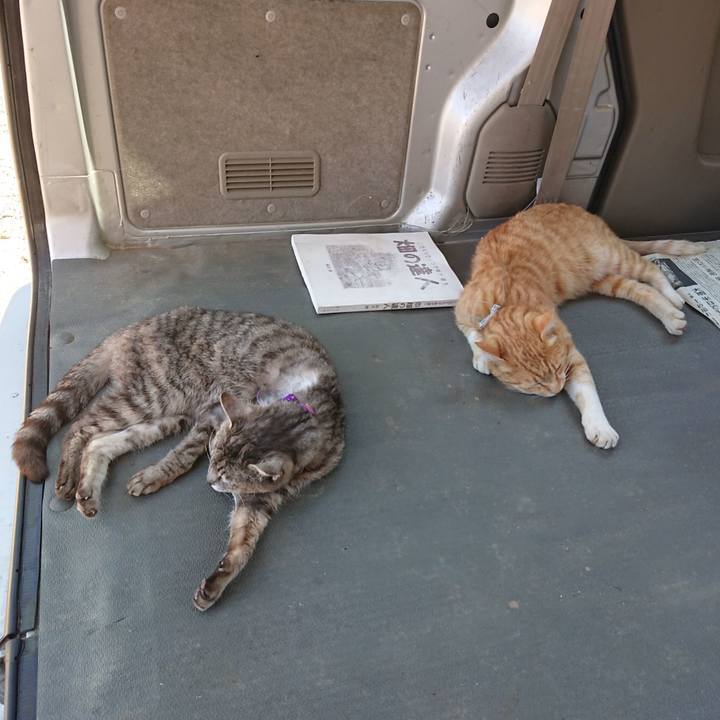 16f278fe d58d 4238 b28c c0c4f5783aa7 1591511210792