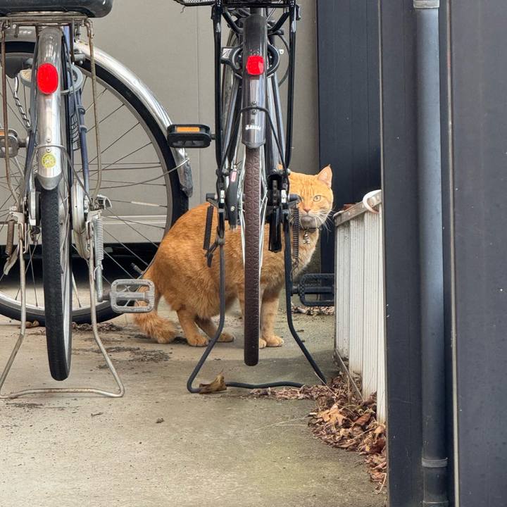 16f2a6b7 96ae 4ac1 b567 da4d7ef74cee 1762827971468