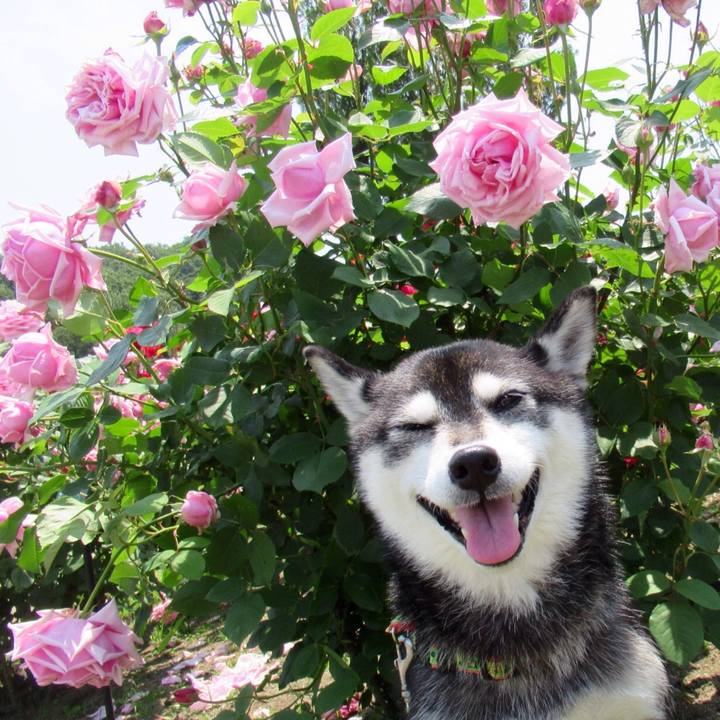 16f2a8e6 5bcb 421a 9d3e 6ba049a439cc 1623209213251