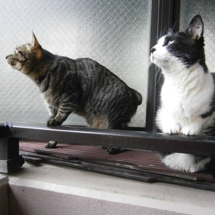 16f2fc56 df60 4bf7 b886 3d02c3d5725d 1517661082778