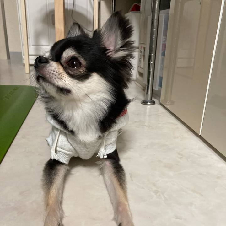 16f30d4a 1583 4248 8033 5bb24fa34004 1646574578670