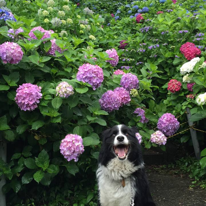 16f393a4 e350 42d3 9f9d 4dcfccee9b12 1528707659486