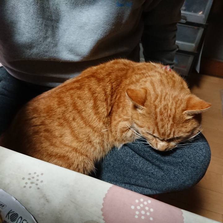 16f39cc1 0dbd 4434 ad42 34bd8551fb37 1608581684932