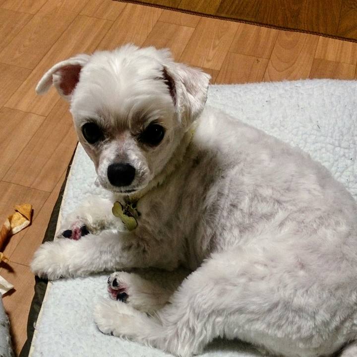 16f3b033 4e0b 4688 9360 f232fb4408ad 1512824844610