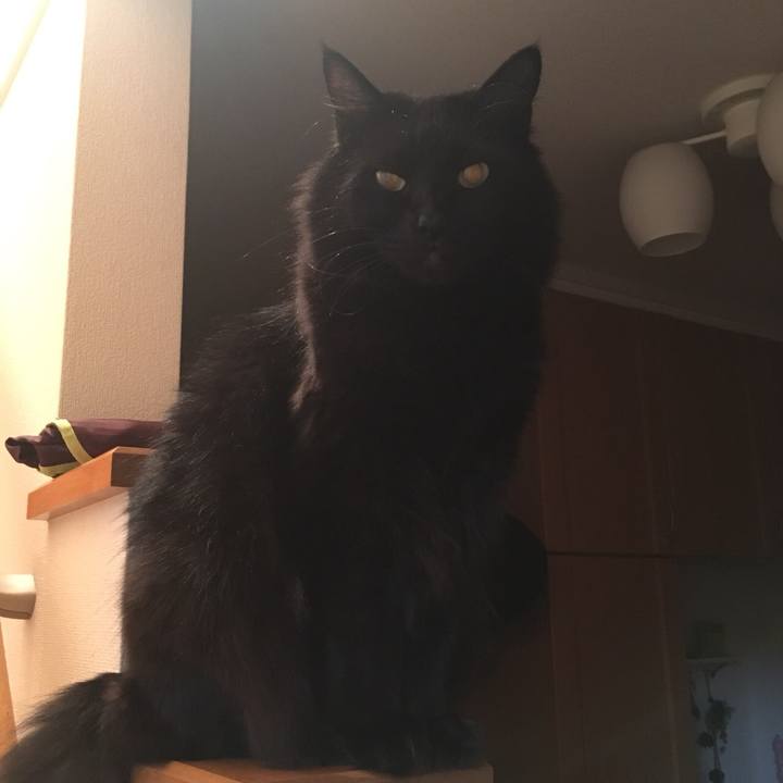 16f4032e 6f01 4c8f aa84 619443f3ee6d 1521423563388