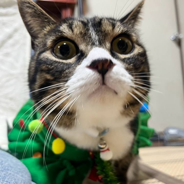 16f41418 b3ce 463e 853a 9dd3c2057548 1766618860243