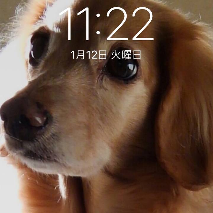 16f43d55 6963 40b1 8117 d4facd4d25d2 1610418321419