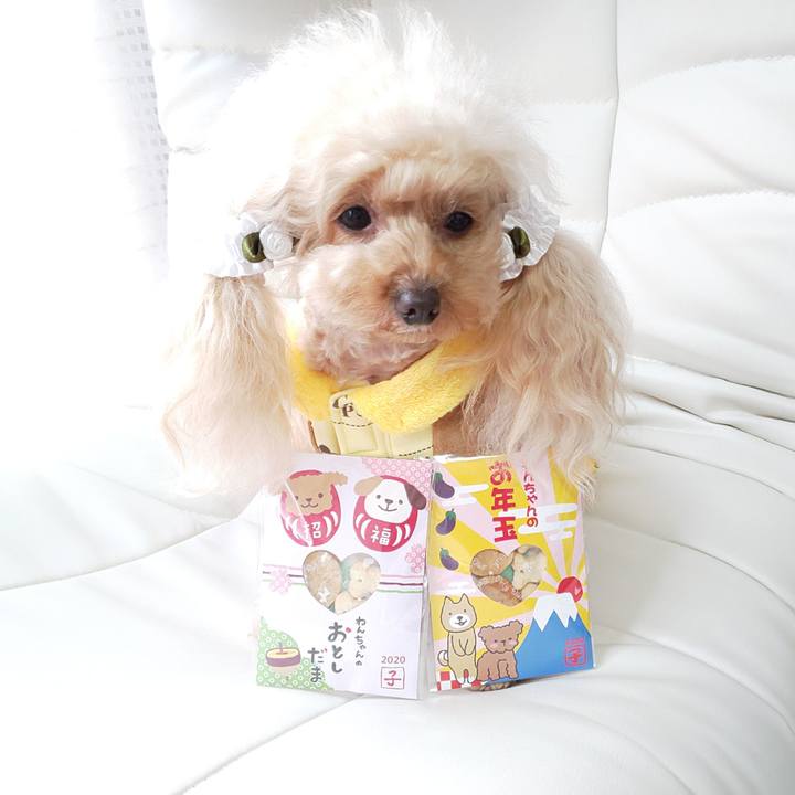 16f43e51 b99c 4aa1 93e6 9fb079a35270 1578397867481