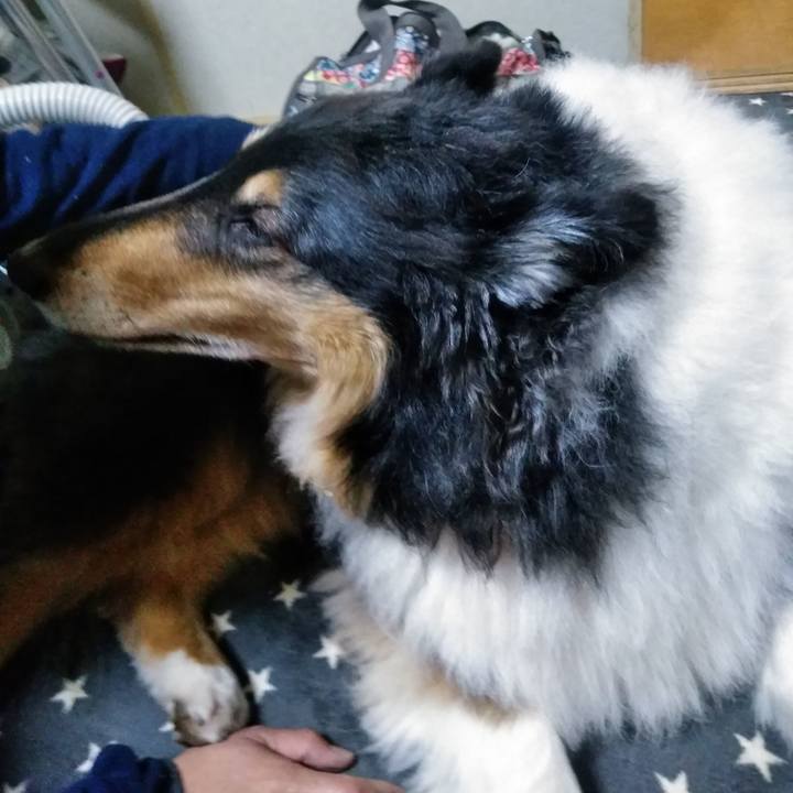 16f44544 3586 4813 af07 d815dfc0d27d 1520643221589