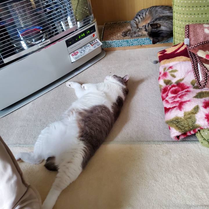 16f445e7 5bb7 443d 921d b55d813dca3a 1696564738435