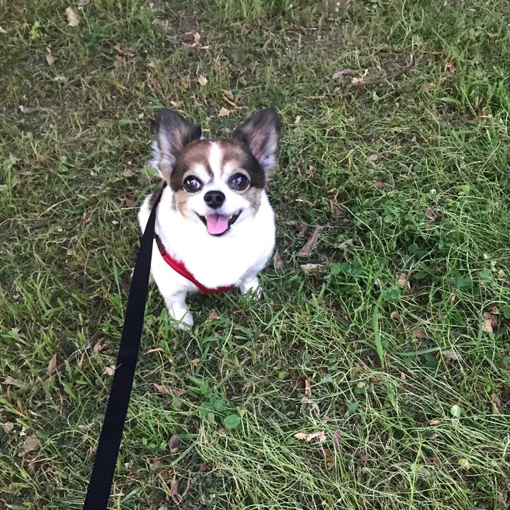 16f46f13 e081 4aca 97db 855751afe120 1687956392622