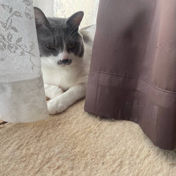 16f4c97b 4349 4a7e 92ae a3301a7d7e15 1628379074898