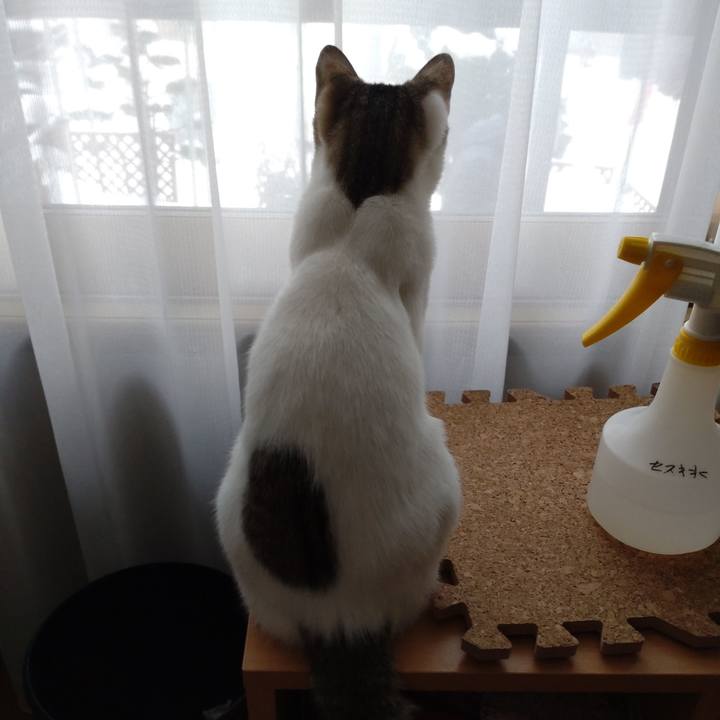 16f53388 a1aa 4f88 b9f6 e0ee60a85482 1640820464012