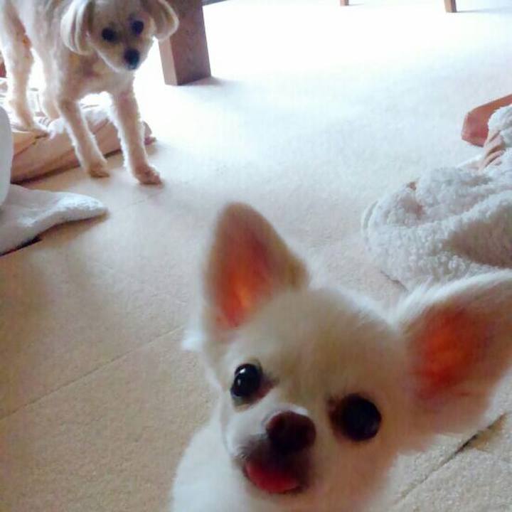 16f53845 3ead 4f6f a7f2 bdbb58dfe6a7 1563605236129