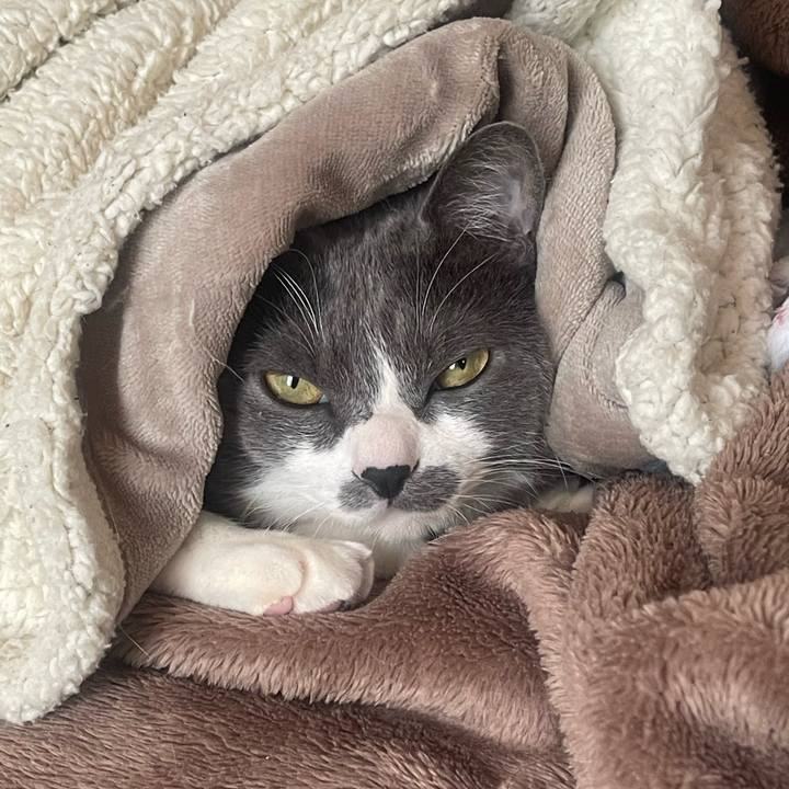 16f543fd ba30 4979 9c33 efe1d63d15b6 1734995629112