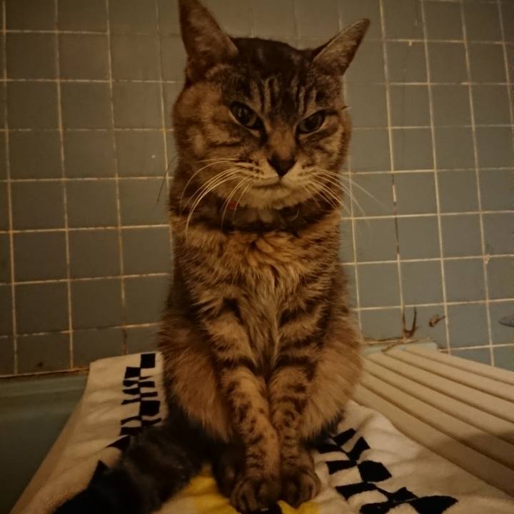 16f54f4b 3fc0 485c 9422 cc37c7b6b5d3 1579166678675