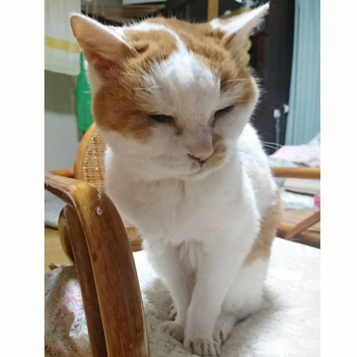 16f55ea2 ba2c 492f 98eb 00f03804b1c5 1577618633324