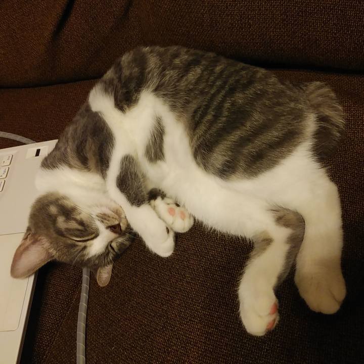 16f578a3 3f49 4bd6 967b 853379b7c57f 1567782087034