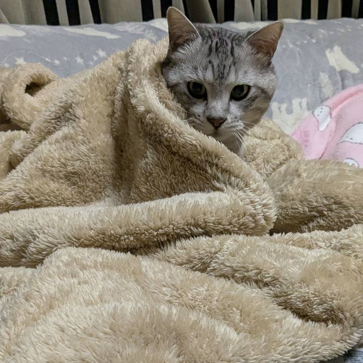 16f5af4f 49f0 410d 9b91 f43f611d02f7 1768811715684