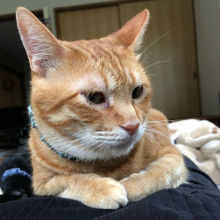 16f5ba29 3052 4d65 997f fb8cfde32a79 1560073669332