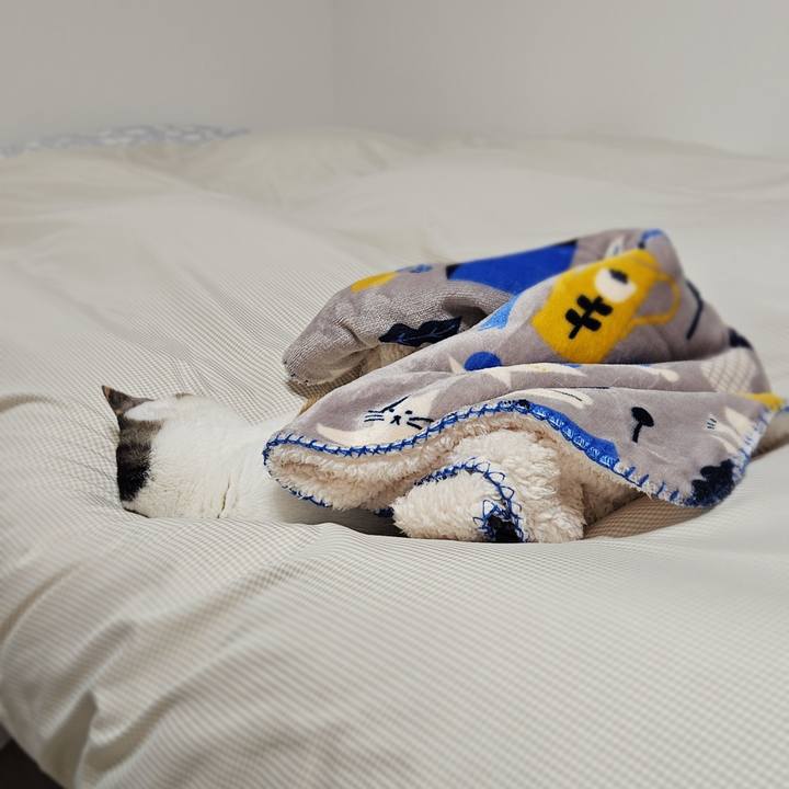 16f5e122 90d3 4643 839b dd98c0aa4fa1 1766373902806