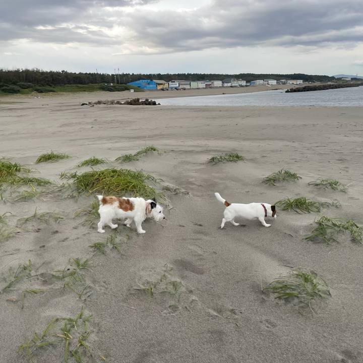 16f5ebc5 5ff9 4e84 a031 a1eb763d2f62 1761090962611