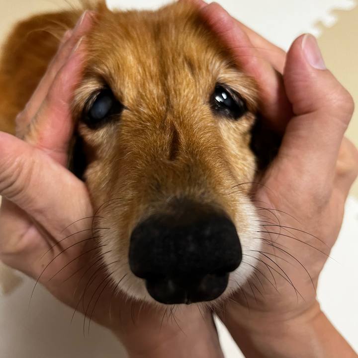 16f5fae2 cf8c 4b40 b807 10f244ce62f6 1662208001355