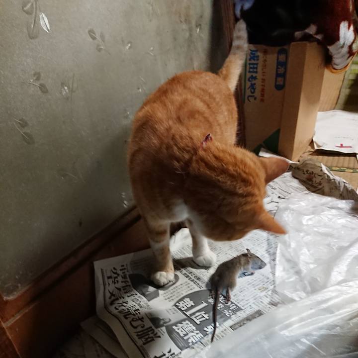 16f5feb4 2053 4ce1 a96e c110a3e19832 1602708595547